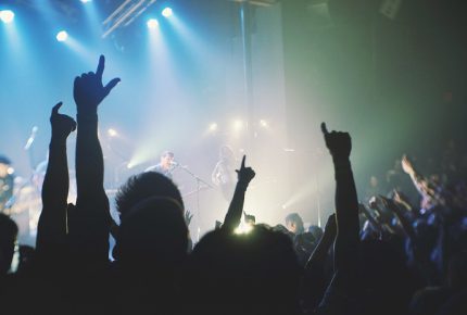 Crowd at a festival