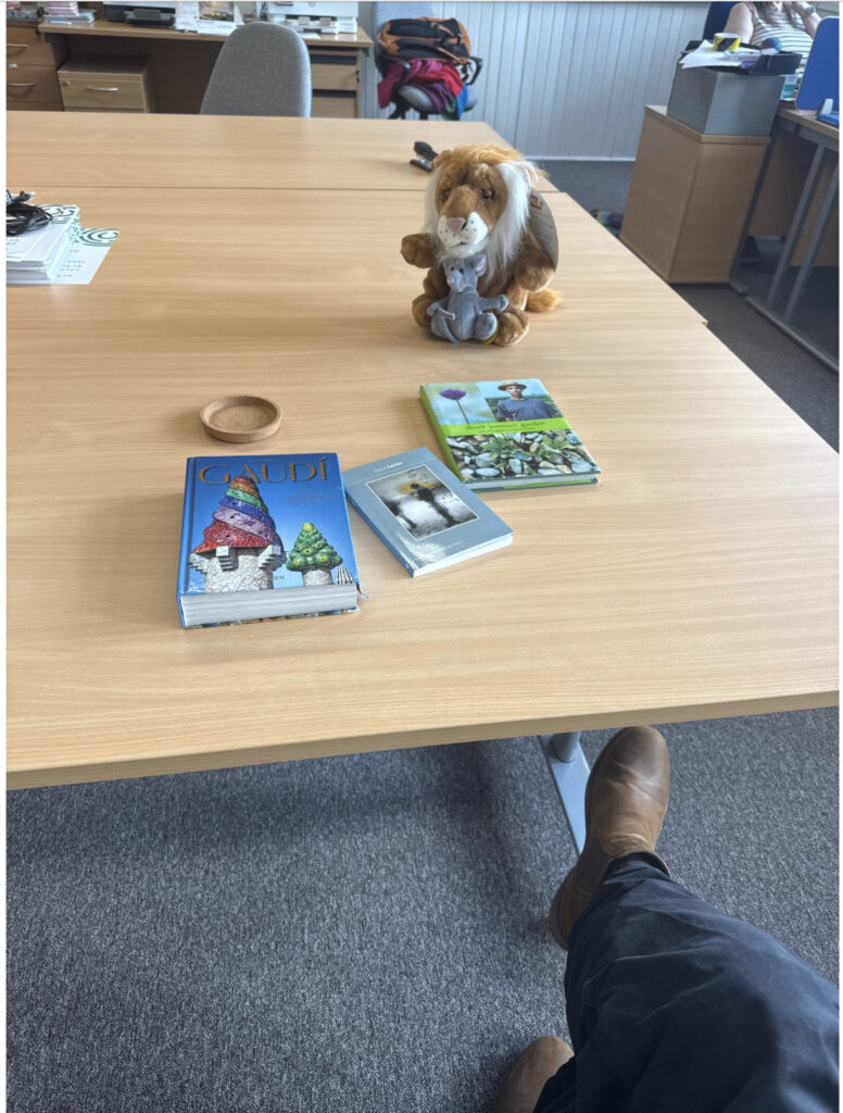 3 books, a coaster and a toy lion on a table in an office